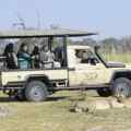 mosu safari tours reviews